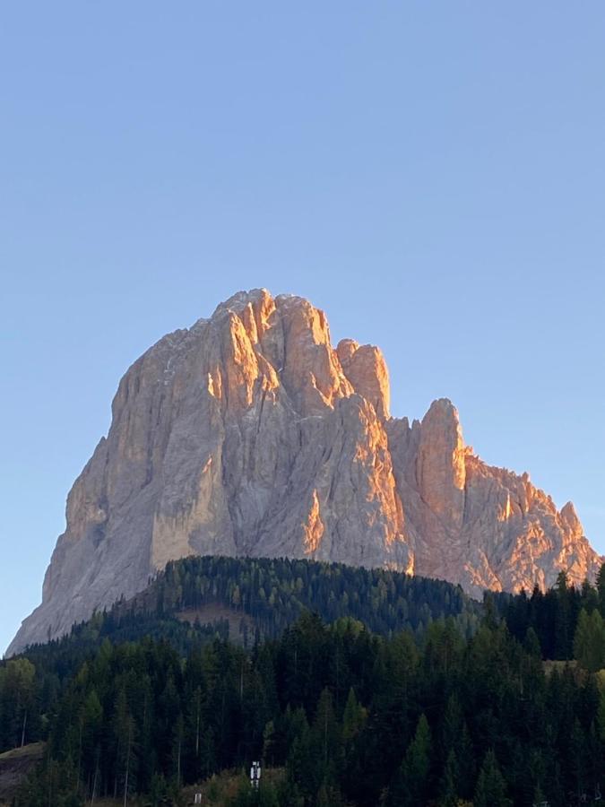 Apartments Mezdi Santa Cristina Val Gardena Exterior foto